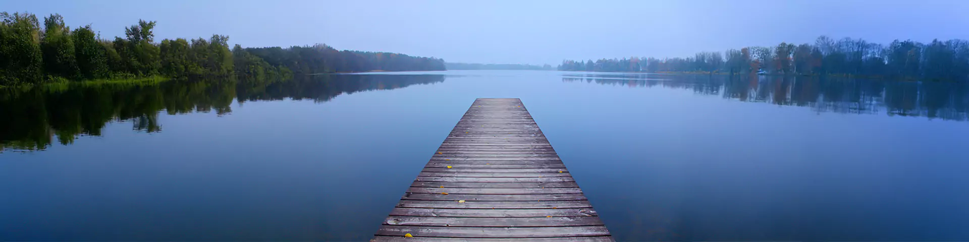 shutterstock-375725308-1920x480-67d81bac00020 Brennende Kerzen und Lilien vor dunklem Hintergrund